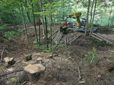 - strojna sečnja lesa  posek  podiranje dreves - gozdarski bager Menzi Muck A91 Mobil 4x4 plus- 08.08.2017 - Bohinj  Bohinjski gozdovi - smrekov lubadar se je raziril v zgornjo bohinjsko dolino nad Jereko proti Podjelju in Pokljuki. - gozdarstvo  smreke //FOTO: Toma Skale