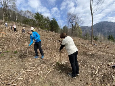 Elanovi zaposleni so posadili 1000 sadik dreves in bodo pet let skrbeli zanje