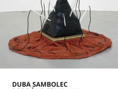 Duba Stambolec, razstava Poročilo o stanju #4