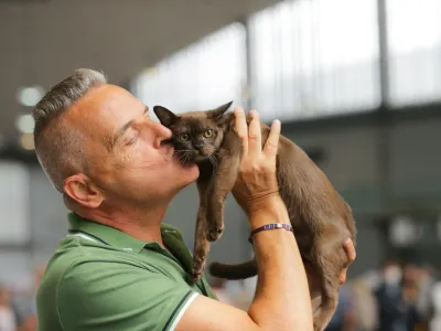 V Felinološkem društvu Ljubljana organiziramo mednarodno mačjo razstavo, ki bo letos potekala 14. in 15. maja na novi in bolj dostopni lokaciji, v Hali Tivoli v Ljubljani. 