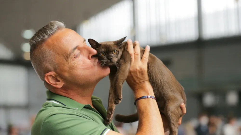 V Felinološkem društvu Ljubljana organiziramo mednarodno mačjo razstavo, ki bo letos potekala 14. in 15. maja na novi in bolj dostopni lokaciji, v Hali Tivoli v Ljubljani. 