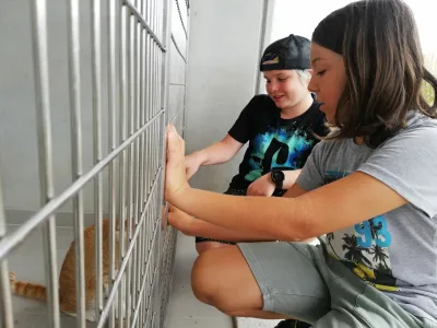 Tako kot lani bodo Mladi zmaji tudi letos organizirali počitnice v zavetišču Gmajnice.&nbsp;