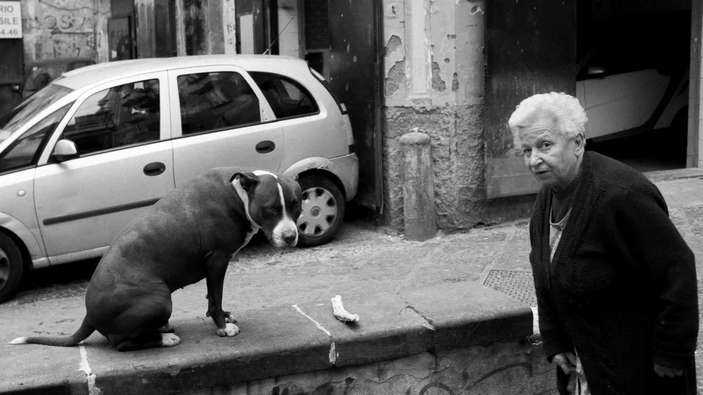 Ko greš na jug vedno jokaš dvakrat/You Always Cry Twice When You Go to the South 