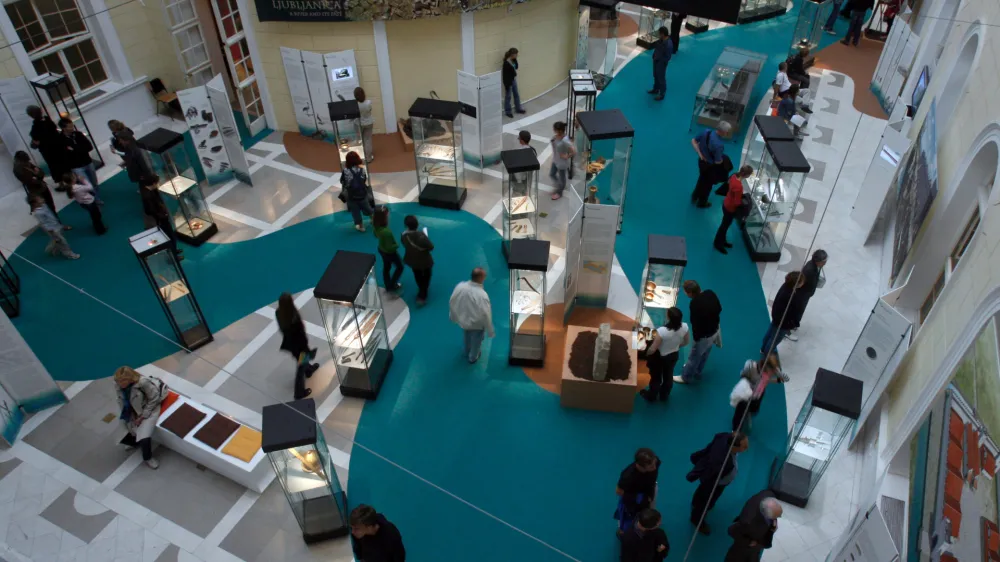 - Poletna muzejska noč 2009 -- Narodni in prirodoslovni muzej./FOTO: Bojan VelikonjaOPOMBA: ZA OBJAVO V ČASOPISU DNEVNIK 