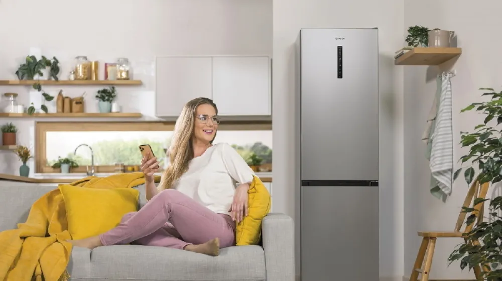 Gorenje GSI, d.o.o.