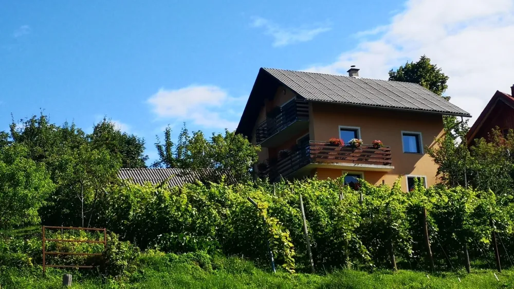 Hiša v Vezovju, kjer je 61-letnik ubil partnerko. F Mojca Marot