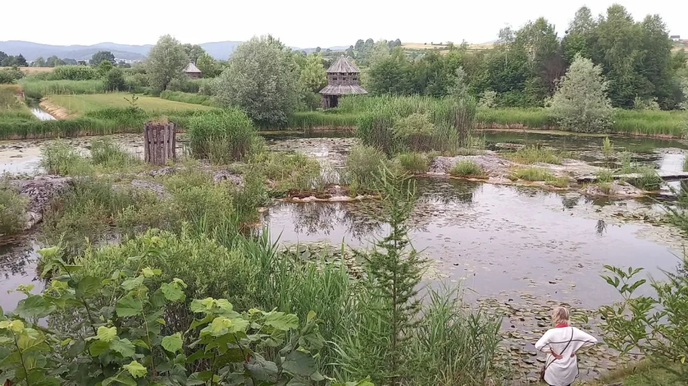 Priljubljena&nbsp;izletniška&nbsp;točka na pragu Ljubljane, naravni&nbsp;park&nbsp;Vodomčev gaj pod vasjo Cerovo pri Grosupljem&nbsp;