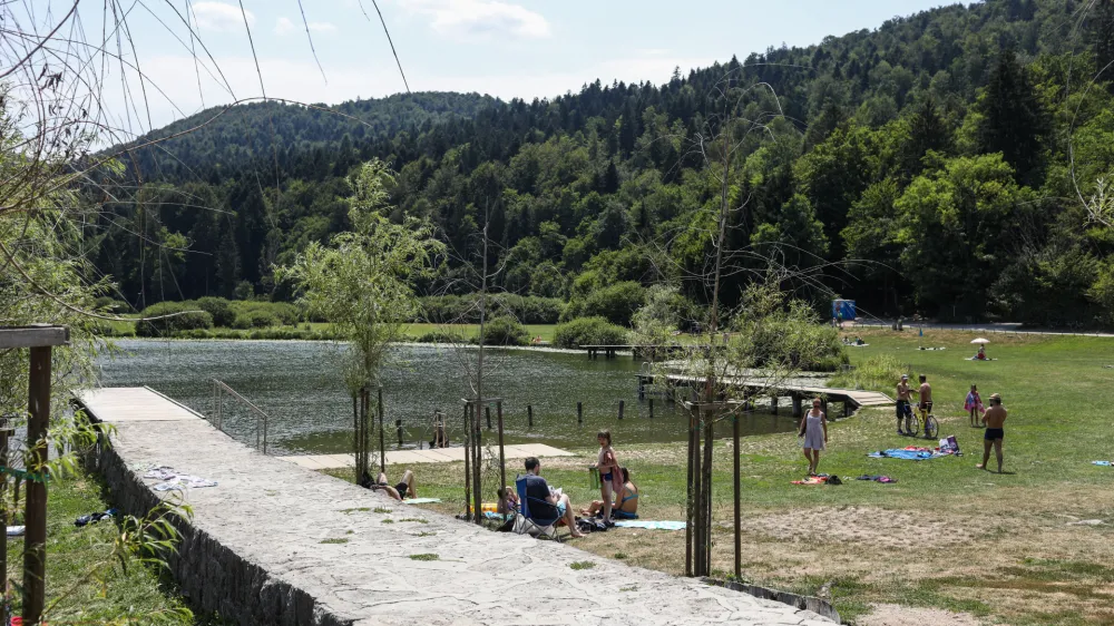 Obstoječa drevesa, ki so dajala senco ob severnem pomolu, so nadomestili z novimi.