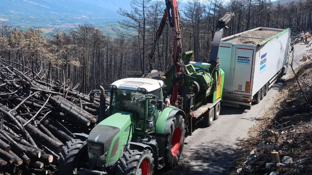 Do 20. avgusta je treba s pogori&scaron;ča odstraniti okoli pet tisoč kubičnih metrov drevja, ki so ga posekali med ga&scaron;enjem požara, da bi preprečili preskakovanje ognja in omejili njegovo &scaron;irjenje. To drevje, ki leži ob prometnicah in požarnih presekah, predstavlja novo grožnjo za požar. Foto: STA