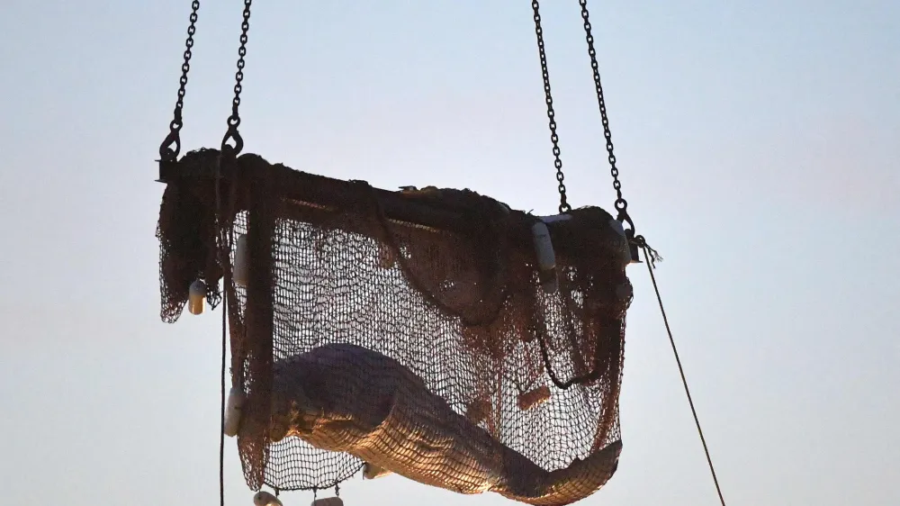10 August 2022, France, Notre Dame de la Garenne: Rescuers pull up a net as they rescue a beluga whale stranded in the River Seine at Notre Dame de la-Garenne. French marine experts launched an ambitious operation on 9 August to save a sick beluga whale that had swum up the Seine, to return it to the sea. On its way to Paris, the four-meter-long animal was spotted a week ago and is now about 130 kilometres inland. Photo: Jean-Francois Monier/AFP/dpa
