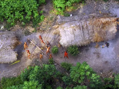 Organizacije, ki s svojim delom ščitijo domorodske skupnosti, ocenjujejo, da je preostalih skupnosti od 235 do 300, natančnega števila pa zaradi omejenih stikov ljudstev z naseljensko družbo nimajo.
