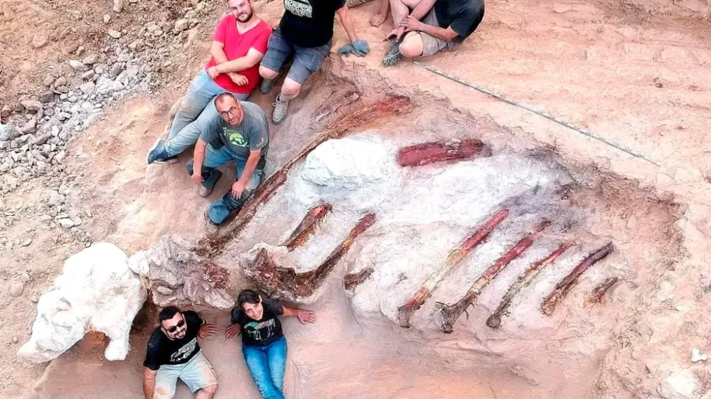 Scientists pose during a phase of the excavation works of a partial skeleton of a sauropod dinosaur at the Monte Agudo fossil site, in Pombal, Portugal in this handout taken August 2022. Instituto Dom Luiz (Faculty of Sciences of the University of Lisbon) /Handout via REUTERS  THIS IMAGE HAS BEEN SUPPLIED BY A THIRD PARTY. MANDATORY CREDIT. NO RESALES. NO ARCHIVES.