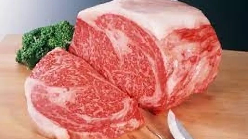wagyu govedina