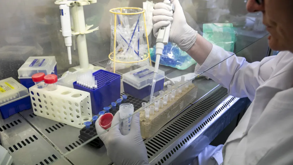 laboratorij<br><br><br>- 04.03.2020 &ndash; Maribor - Nacionalni laboratorij za zdravje, okolje in hrano (NLZOH) - Center za medicinsko mikrobiologijo &ndash; testiranje vzorcev dihal bolnikov pri katerih obstaja sum na okužbo z novim koronavirusom SARS-CoV-2 (COVID-19), Prvomajska 1 v Mariboru //FOTO: Matjaž Ru&scaron;tOPOMBA: REPORTAŽA ZA OBJEKTIV 2020