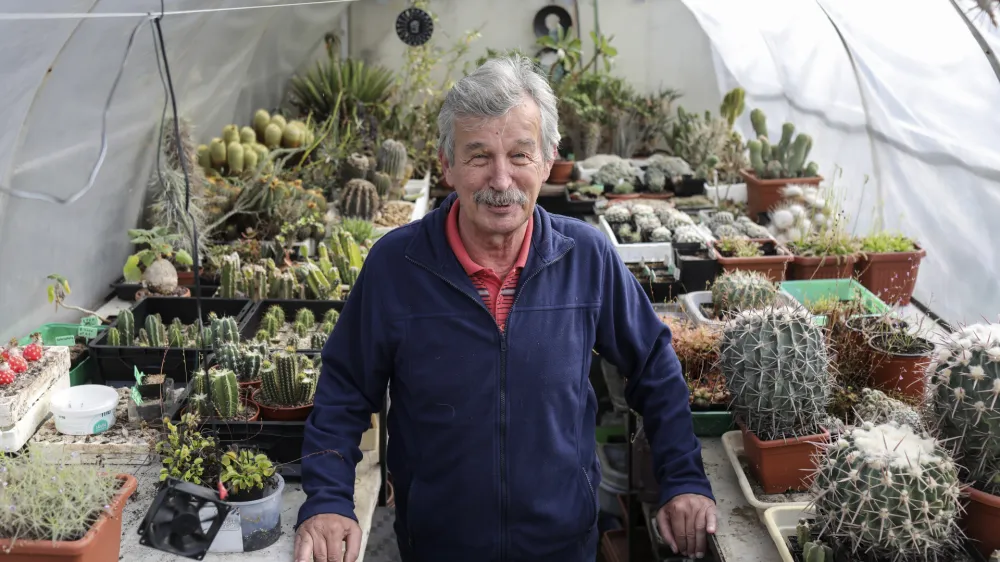 Ljubiteljski botanik Jure Slatner je najprej zbiral kaktuse, dokler ni spoznal mesojedih rastlin, ki so pred 30 leti zanj postale še večji izziv za gojenje. 