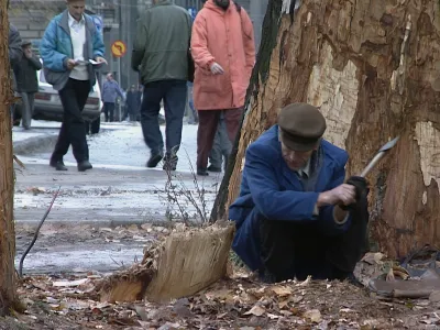 Film Sarajevo safari je od 3. novembra dalje predvajan v dvoranah Art kino mreže Slovenije. Foto: Arsmedia