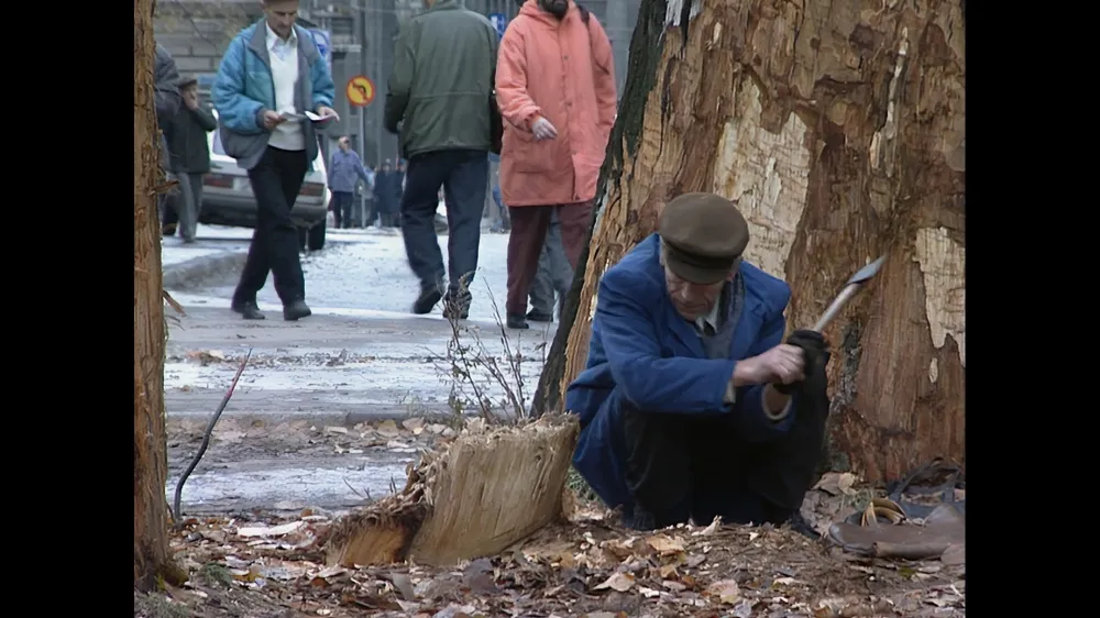 Film Sarajevo safari je od 3. novembra dalje predvajan v dvoranah Art kino mreže Slovenije. Foto: Arsmedia