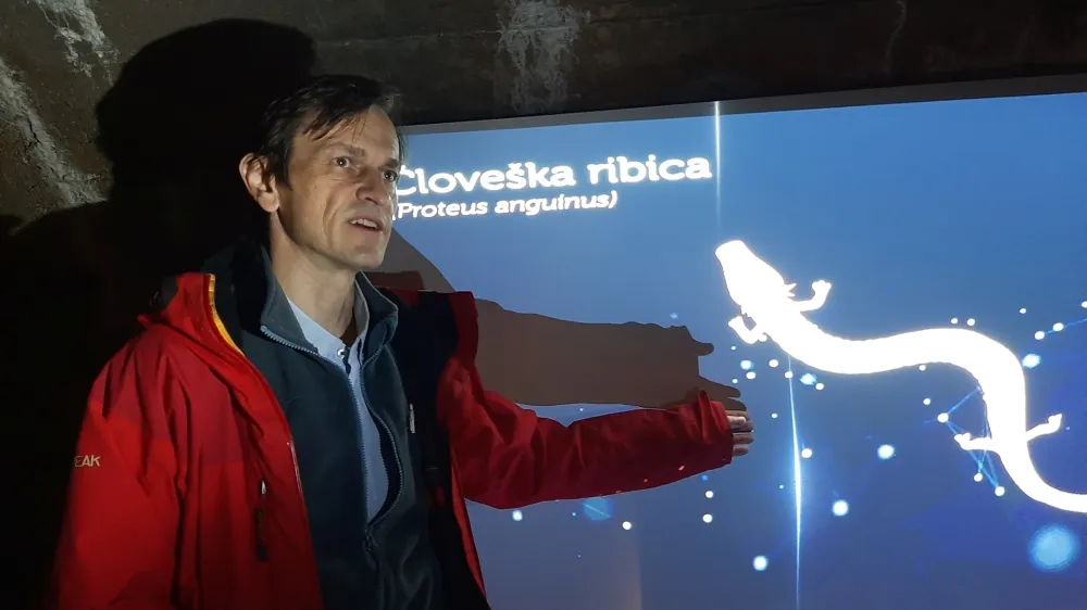 Gregor Aljančič predano nadaljuje delo svojega očeta speleobiologa Marka Aljančiča, ki je leta 1960 jamo Tular v Kranju preuredil v speleobiolo&scaron;ki laboratorij.