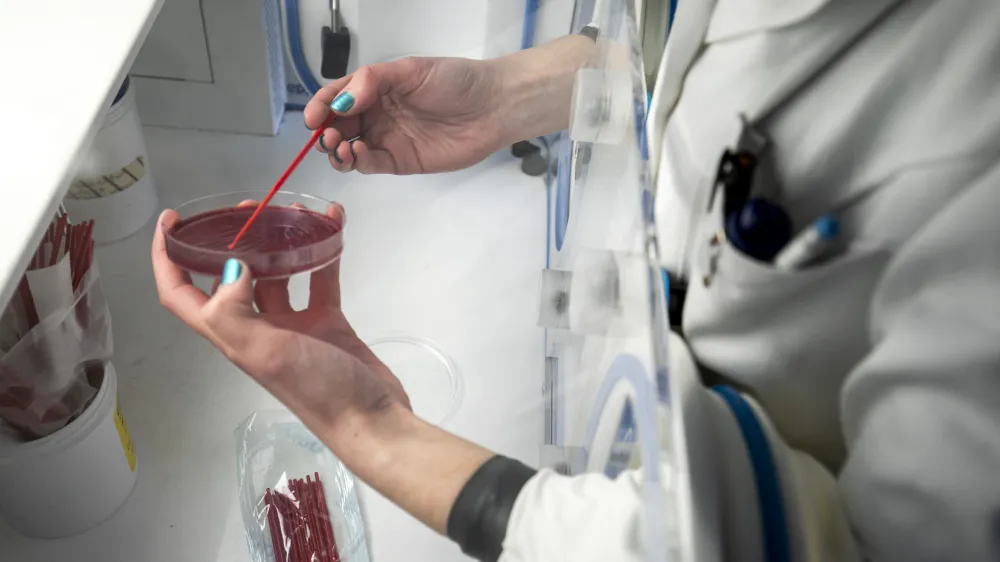 laboratorij<br><br><br>- 04.03.2020 &ndash; Maribor - Nacionalni laboratorij za zdravje, okolje in hrano (NLZOH) - Center za medicinsko mikrobiologijo &ndash; testiranje vzorcev dihal bolnikov pri katerih obstaja sum na okužbo z novim koronavirusom SARS-CoV-2 (COVID-19), Prvomajska 1 v Mariboru //FOTO: Matjaž Ru&scaron;tOPOMBA: REPORTAŽA ZA OBJEKTIV 2020