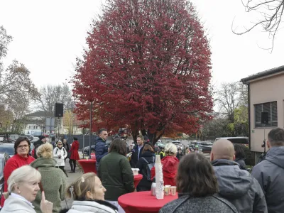 - 28.11.2022 – Drevo leta 2022 - Perzijska bukev na zelenici pred zavodom za transfuzijsko medicino, Šlajmerjeva 6 v Ljubljani  //FOTO: Jaka Gasar