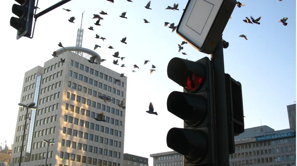 Stavba Telekom Slovenije, Tiskovna konferenca Telekom Slovenije, stavba,/FOTO: JAKA ADAMIČOPOMBA: ZA OBJAVO V ČASOPISU DNEVNIK