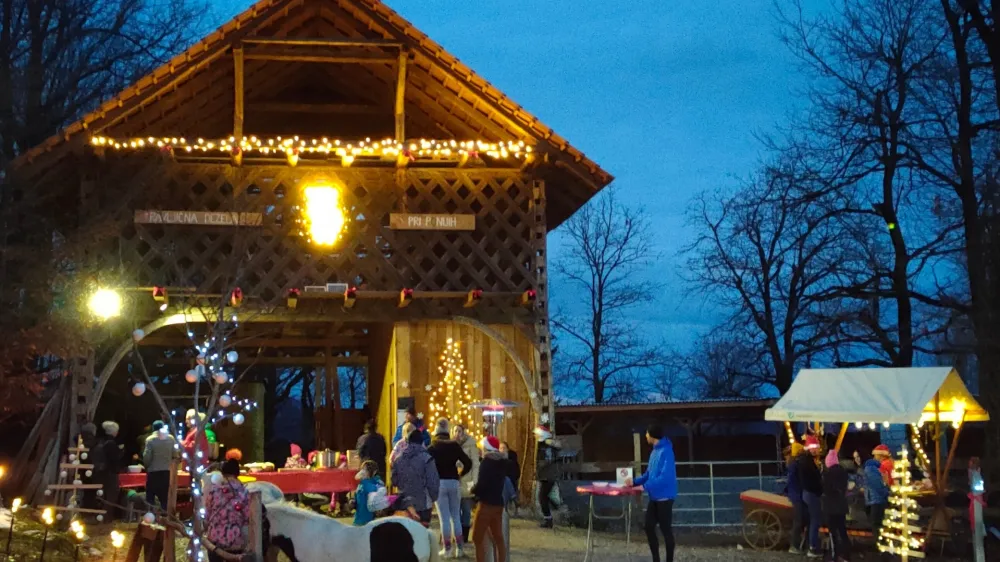 Pravljična dežela pri Ponijih s Klanca