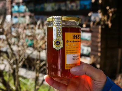 ﻿slovenski med Gornjesavske doline - zaščitena geografska označba - slovenska kakovost - 28.02.2019 - Milan Meglič, čebelar - zagovornik ekološkega čebelarjenja in sonaravnega zatiranja varoj,  //FOTO: Bojan Velikonja