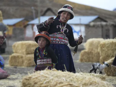 Standing with her daughter, a woman weaves next to fodder brought to feed the starving animals of the Cconchaccota community, in the Apurimac region of Peru, Friday, Nov. 25, 2022. The fodder is the long-delayed drought response from the regional authorities to feed for the surviving sheep, cattle, alpacas and llamas. (AP Photo/Guadalupe Pardo)