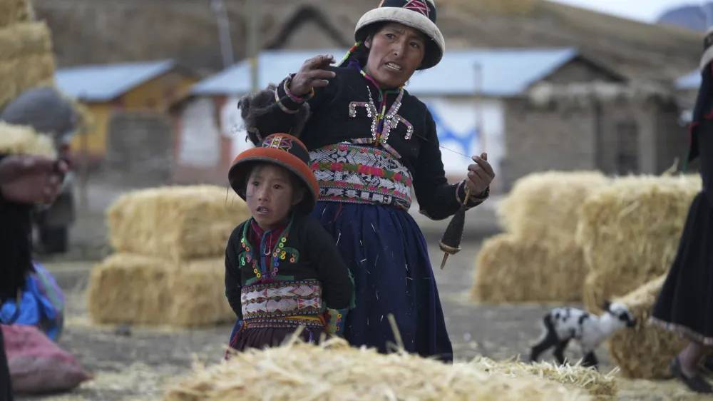 Standing with her daughter, a woman weaves next to fodder brought to feed the starving animals of the Cconchaccota community, in the Apurimac region of Peru, Friday, Nov. 25, 2022. The fodder is the long-delayed drought response from the regional authorities to feed for the surviving sheep, cattle, alpacas and llamas. (AP Photo/Guadalupe Pardo)