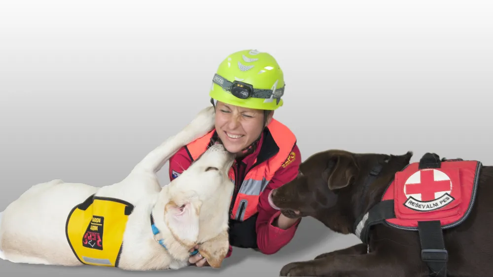 Darinka Lečnik-Urbancl, Dru&scaron;tvo za re&scaron;evalne pse REPS Maribor in Center za &scaron;olanje psov vodičev in pomočnikov SLO-CANIS