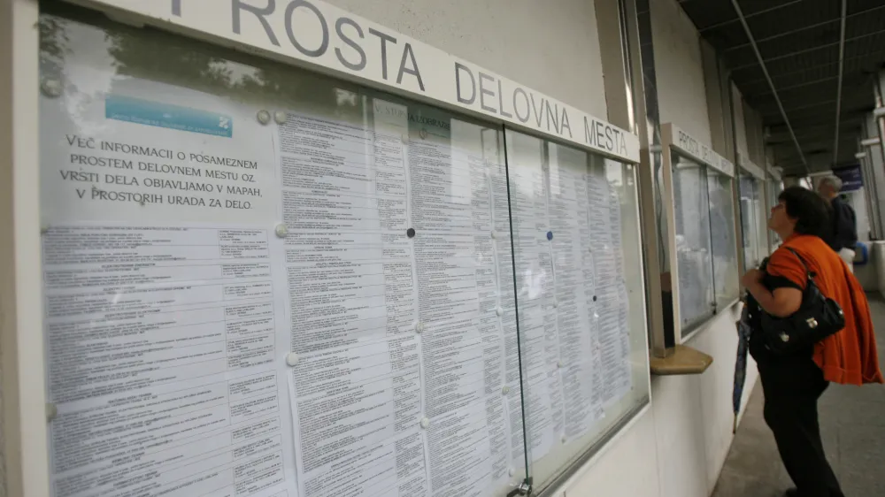 - Zavod RS za zaposlovanje, oglasna tabla - prosta delovna mesta, Parmova ulica 32 //FOTO: Matej Povše