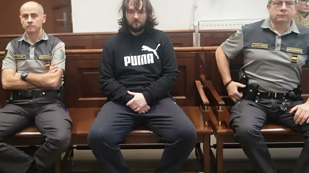 Na celjskem sodišču se nadaljuje sojenje Sebastienu Abramovu za umor Sare Veber.