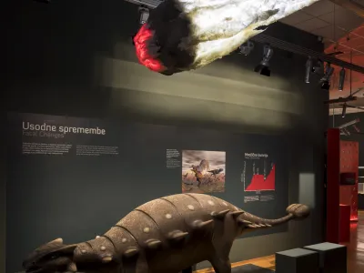 Prirodoslovna razstava V vrtincu sprememb bo govorila tudi o izumrtjih v zgodovini na&scaron;ega planet, zadnje preti tudi zdaj. F Ale&scaron; Rosa