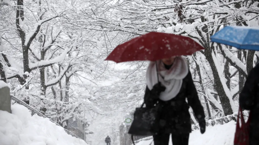 Tivoli - sneženje v Ljubljani - sneg 2013//FOTO: Luka Cjuha