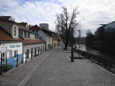 - 10.01.2023 - Petkovškovo nabrežje – obnovljen drevored - //FOTO: Nik Erik Neubauer