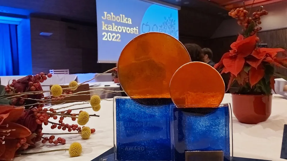 V Biotehniškem centru Naklo delujemo v treh enotah: Srednja šola in gimnazija, Višja strokovna šola in Medpodjetniški izobraževalni center.