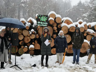 Protest proti sečnji dreves na Rožniku, Rožnik