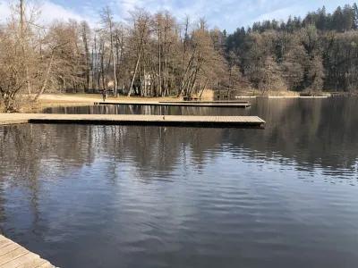 Za zdaj na površini Blejskega jezera še ni opazno tako močno cvetenje alg kot v preteklih letih, a se lahko hitro pojavi. 