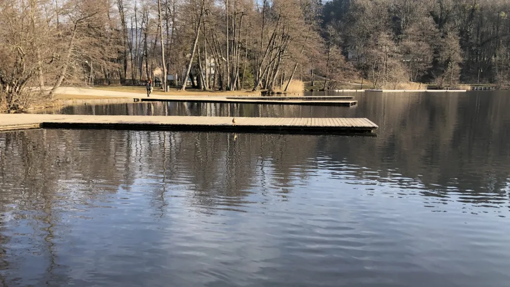 Za zdaj na površini Blejskega jezera še ni opazno tako močno cvetenje alg kot v preteklih letih, a se lahko hitro pojavi. 