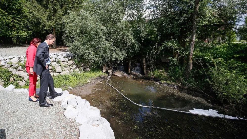 Lani je Kemis zbral 24.035 ton vseh odpadkov, od katerih jih je bilo 60 odstotkov nevarnih, 40 odstotkov pa nenevarnih. Na fotografiji: Miro Cerar, leta 2017 predsednik vlade, si ogleduje posledice požara v vrhniškem Kemisu.