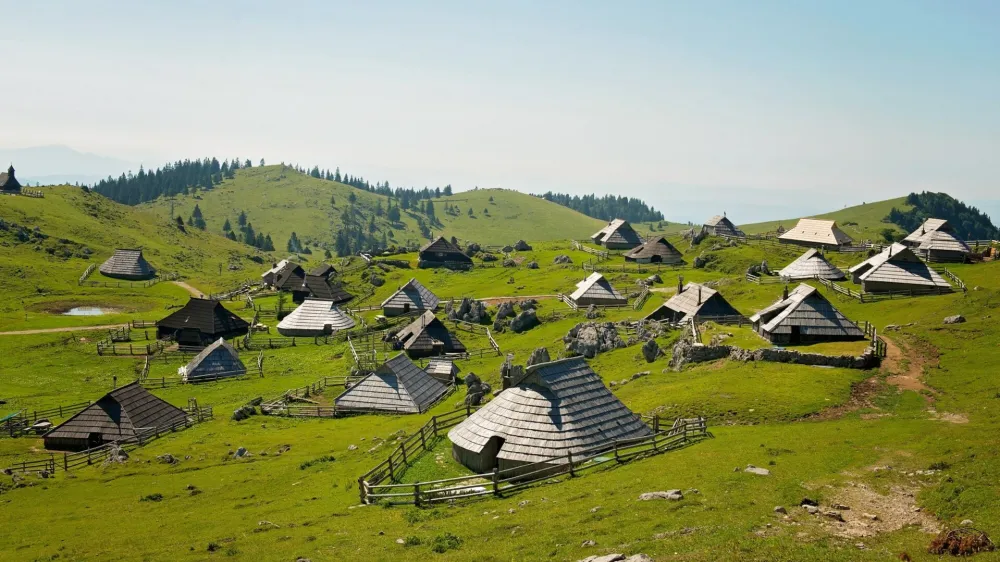Pa&scaron;niki v naselju Velika planina