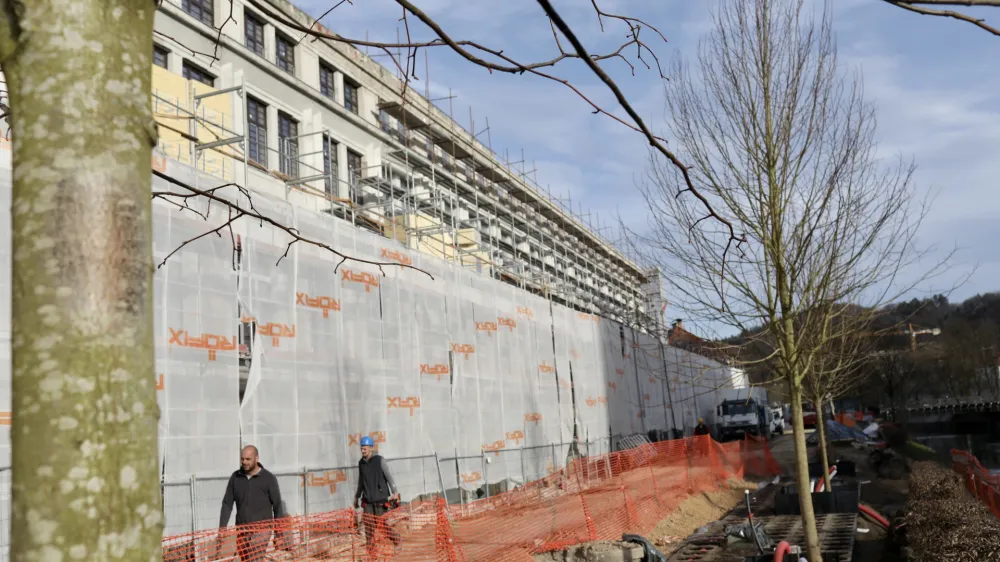 Rog, Petkovškovo nabrežje, drevesa, 