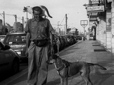 Nik Erik Neubauer: Ko greš na jug vedno jokaš dvakrat, 2019, serija