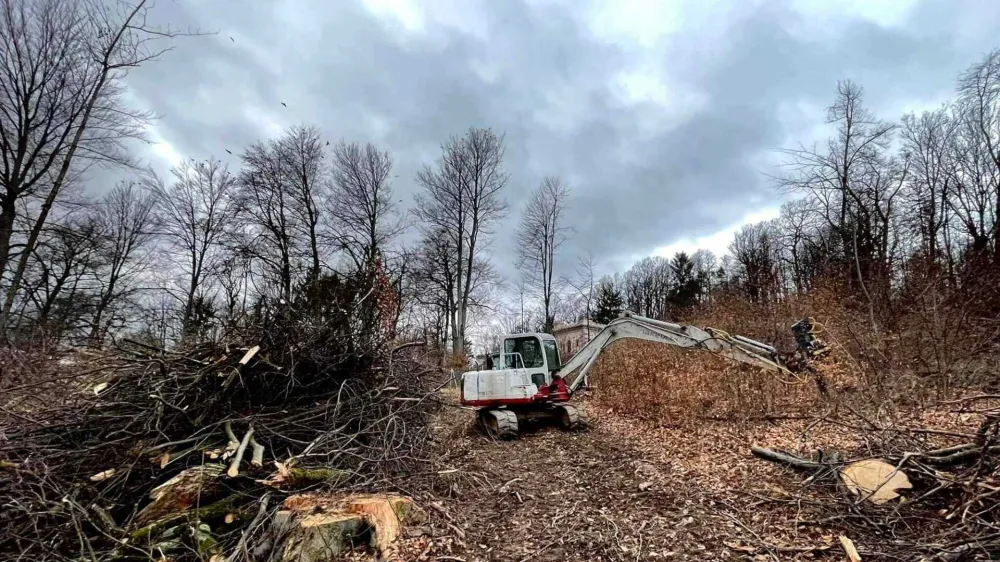 Obsežna sečnja dreves, ki od sredine decembra poteka na območju gozda, ki sodi pod okrilje Krajinskega parka Tivoli, Rožnik in &Scaron;i&scaron;enski hrib in je v lasti Mestne občine Ljubljana (MOL),