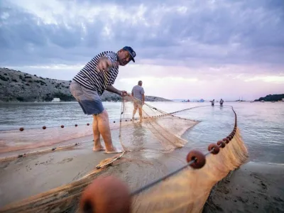 Vlečenje ribiške mreže na Loparju