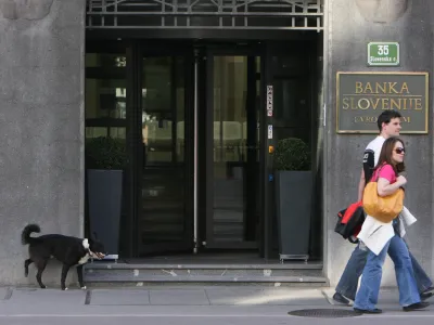 Pri posojilih s fiksnimi obrestnimi merami se obrestne marže bank znižujejo in bi lahko postale tudi negativne, pri čemer je pričakovati večje težave v bankah, ki so bile v preteklih letih bolj agresivne in ponujale več posojil s fiksnimi obrestnimi merami, je opozoril dr. Sa&scaron;o Polanec. Fotografija je simbolična. Foto: Tomaž Skale&nbsp;