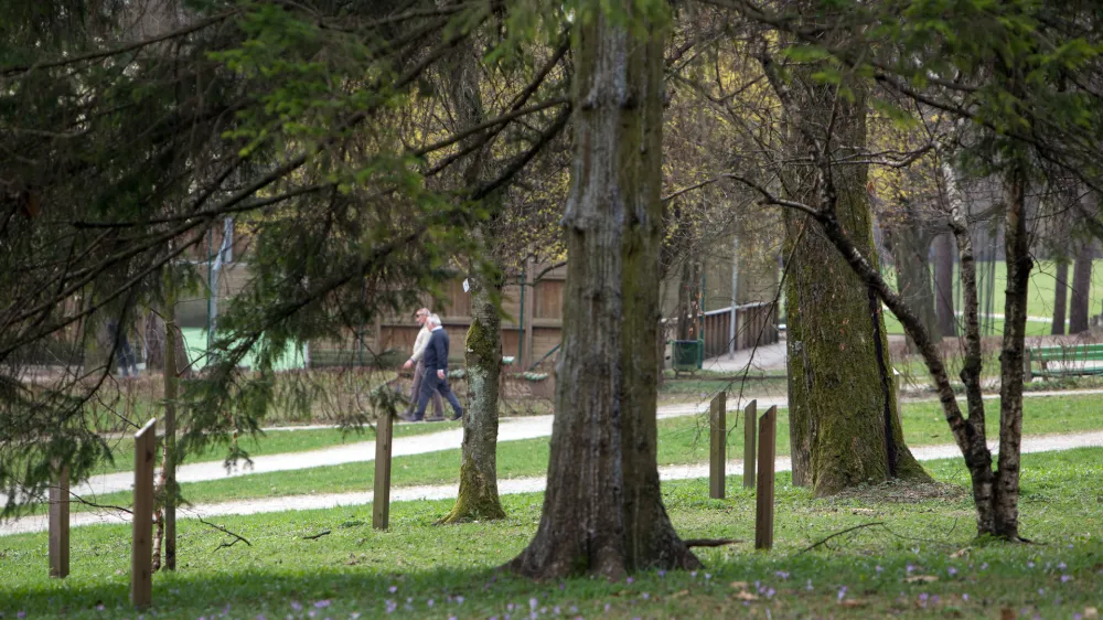 ﻿- 21.03.2017 - Park Tivoli - Mednarodni fenološki vrt, ki je bil ustanovljen leta 1959 in sodi v mednarodno mrežo evropskih fenoloških vrtov in je edini tovrstni park v Sloveniji - proučevanje podnebnih sprememb in njihov vpliv na rastline - fenološka opazovanja - //FOTO: Matjaž Rušt
