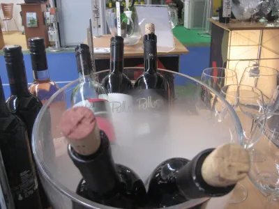 Marjan Colja, direktor Vinakras