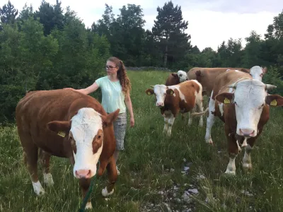 Pašniki v okolici Prešnice