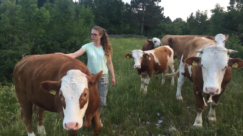 Pašniki v okolici Prešnice